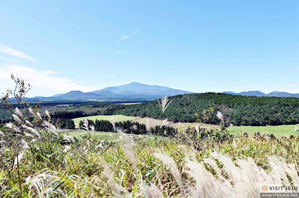제주도 조천에서 방문하기 좋은 장소_까끄래기오름
