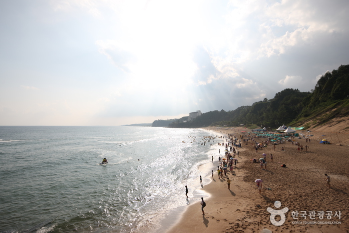 제주도해수욕장_중문색달